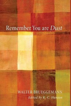 portada Remember you are Dust