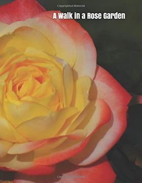 portada A Walk in a Rose Garden: A Senior Reader Picture Book for Memory Care (en Inglés)