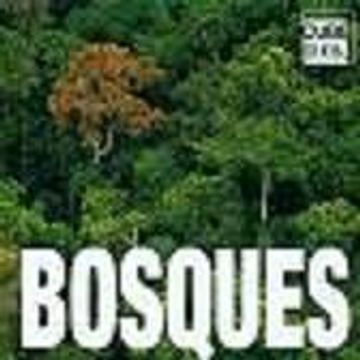 portada Bosques (Cube Book) (in Spanish)