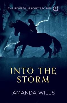 portada Into the Storm: 3 (The Riverdale Pony Stories) (en Inglés)