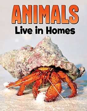 portada Animals Live in Homes 