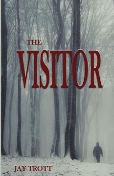 portada The Visitor