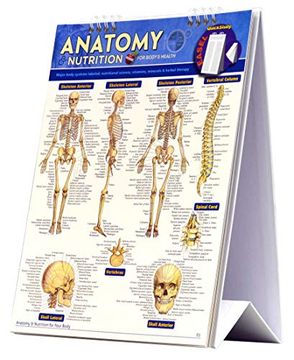 portada Anatomy & Nutrition (Quickstudy Easel) (en Inglés)