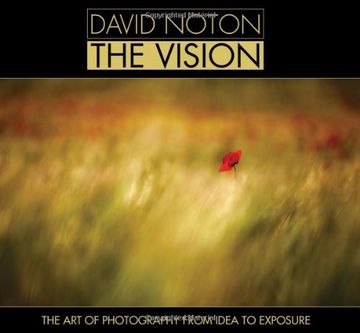 portada david noton - the vision: the art of photography from idea to exposure (en Inglés)
