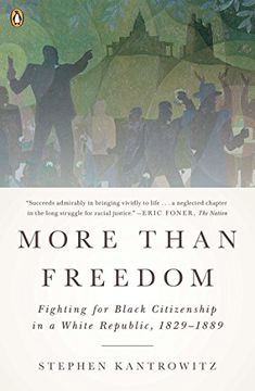 portada More Than Freedom: Fighting for Black Citizenship in a White Republic, 1829-1889 (en Inglés)