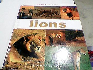portada Lions (en Inglés)