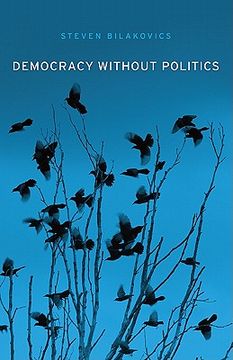 portada democracy without politics
