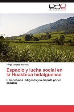portada espacio y lucha social en la huasteca hidalguense (in English)