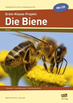 portada Erste-Klasse-Projekt: Die Biene (in German)
