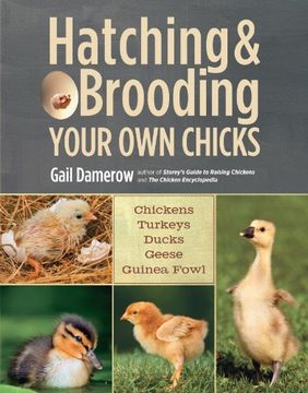 Hatching & Brooding Your own Chicks: Chickens, Turkeys, Ducks, Geese, Guinea Fowl (en Inglés)