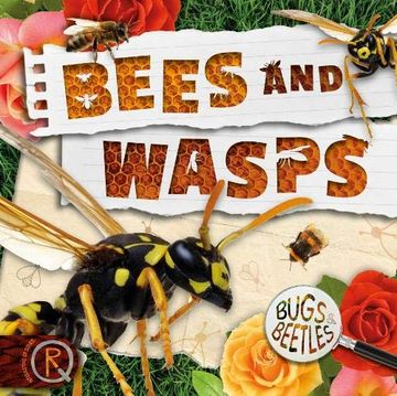 portada Bees and Wasps (Bugs and Beetles) (en Inglés)