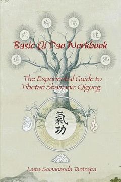portada Basic Qi Dao Workbook: The Experiential Guide To Tibetan Shamanic Qigong (en Inglés)