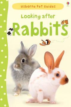 portada looking after rabbits. fiona patchett (en Inglés)
