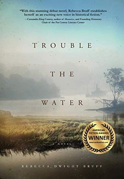 portada Trouble the Water: A Novel 