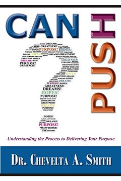 portada Can I Push?: Understanding the Process to Delivering Your Purpose