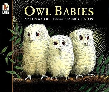 portada Owl Babies 