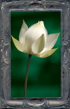portada Letting the Lotus Bloom: The Expression of Soul Through Flowers (en Inglés)