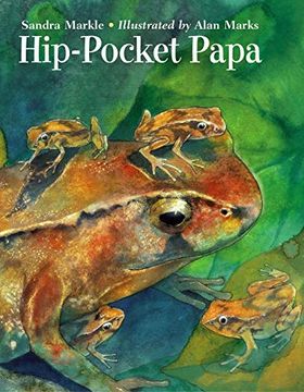 portada Hip-Pocket Papa (en Inglés)