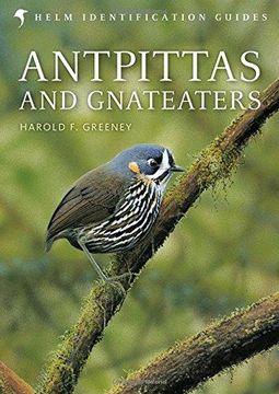 portada Antpittas and Gnateaters (Helm Identification Guides) (in English)
