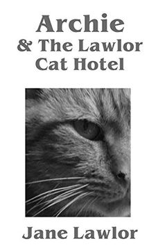 portada Archie & The Lawlor Cat Hotel (en Inglés)