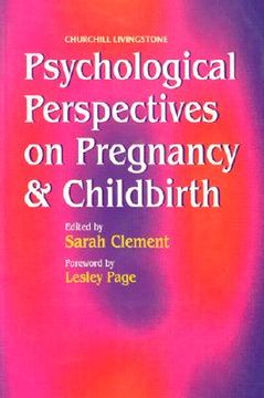 portada psychological perspectives on pregnancy and childbirth (in English)