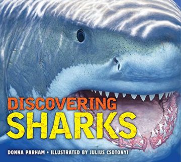 portada Discovering Sharks (en Inglés)