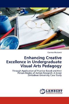 enhancing creative excellence in undergraduate visual arts pedagogy