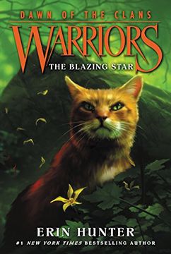portada Warriors: Dawn of the Clans #4: The Blazing Star (in English)