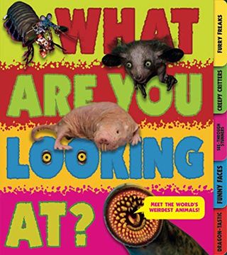 portada What are you Looking at? (en Inglés)