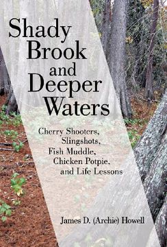 portada Shady Brook and Deeper Waters: Cherry Shooters, Slingshots, Fish Muddle, Chicken Potpie, and Life Lessons (en Inglés)