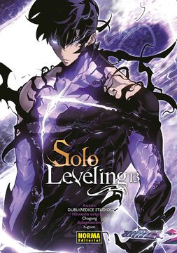 portada Solo Leveling 13