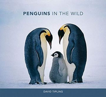 portada Penguins in the Wild (The mit Press) (en Inglés)