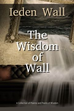 portada The Wisdom of Wall