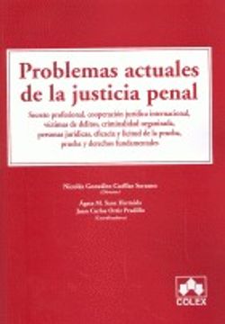 portada Problemas Actuales De La Justicia Penal