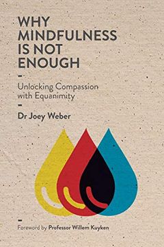 portada Why Mindfulness is not Enough: Unlocking Compassion With Equanimity (en Inglés)