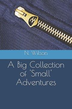 portada A Big Collection of 'Small' Adventures (en Inglés)