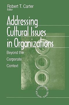 portada addressing cultural issues in organizations: beyond the corporate context (en Inglés)