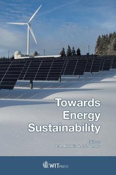 portada Towards Energy Sustianability (en Inglés)