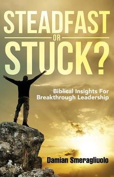 portada Steadfast Or Stuck?: Biblical Insights For Breakthrough Leadership 