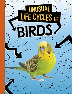 portada Unusual Life Cycles of Birds (in English)