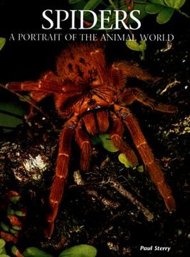 portada spiders: a portrait of the animal world