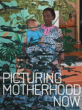 portada Picturing Motherhood now 