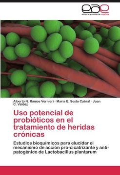 portada Uso Potencial de Probióticos en el Tratamiento de Heridas Crónicas: Estudios Bioquímicos Para Elucidar el Mecanismo de Acción Pro-Cicatrizante y Anti-Patogénico de Lactobacillus Plantarum