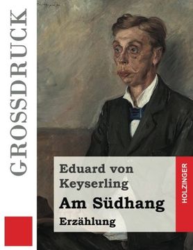 portada Am Südhang (Großdruck): Erzählung (German Edition)