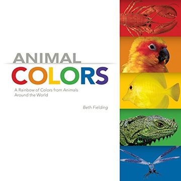 portada Animal Colors (en Inglés)