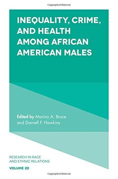 portada Inequality, Crime, and Health Among African American Males: Enduring Social Costs of Racial Inequality: 20 (Research in Race and Ethnic Relations) (in English)