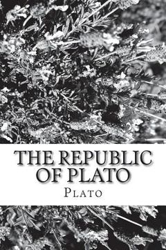 portada The Republic of Plato (in English)