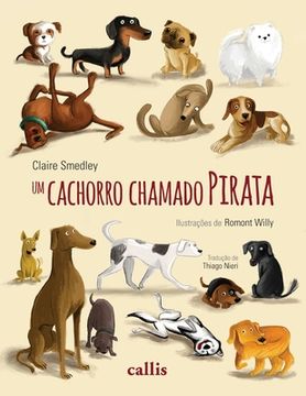 portada Um cachorro chamado Pirata (en Portugués)