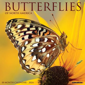 Comprar Butterflies 2024 Calendar De Willow Creek Press Buscalibre   D0c1550938a207964e7c4311ebec21f0 