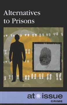 portada alternatives to prisons